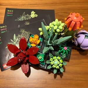 LEGO Botanical Collection Succulents